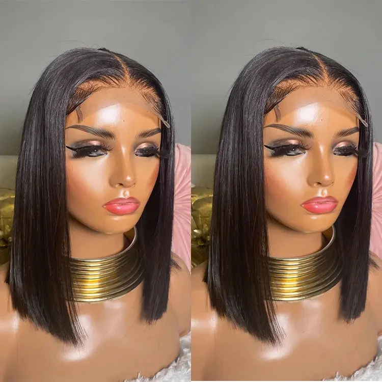 HD Lace Wig 100% Human Hair